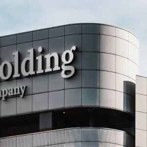 Holding, restructuration et rémunération fiscalement optimisée du dirigeant
